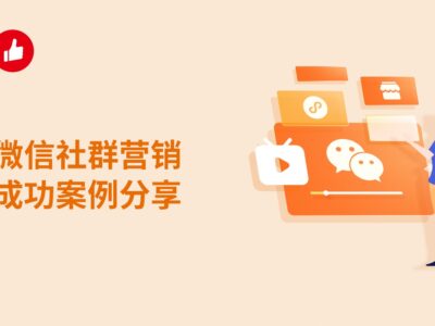 微信营销成功案例，如何通过产品发售模式，年赚800万的真实案例