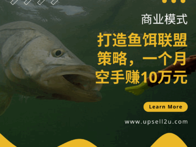 商业联盟合作方案，如何打造鱼饵联盟策略，一个月空手赚10万元